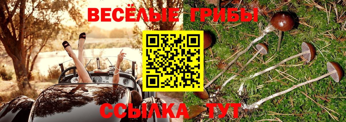 Псилоцибиновые грибы ЛСД  закладка  Малоярославец  Вход с VPN 